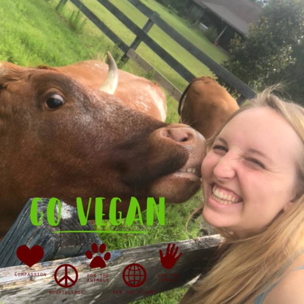 Meet your Posher, Jordan